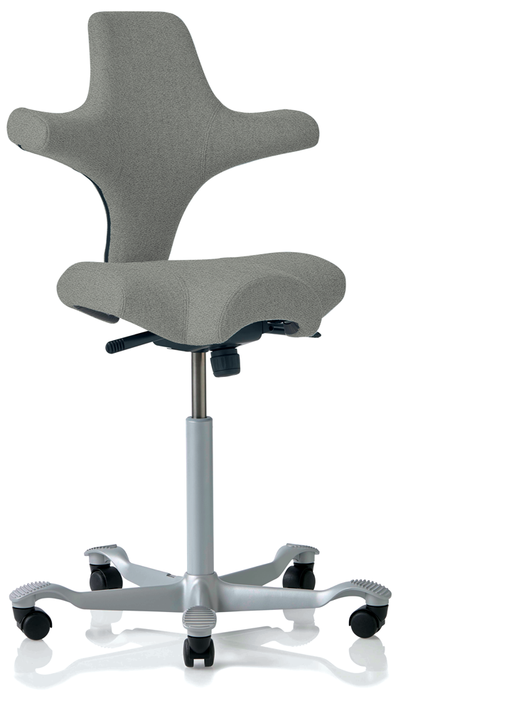 Hag capisco 8106 online chair